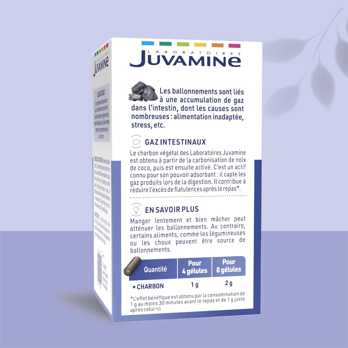 JUVAMINE Charbon Végétal 1000 Mg