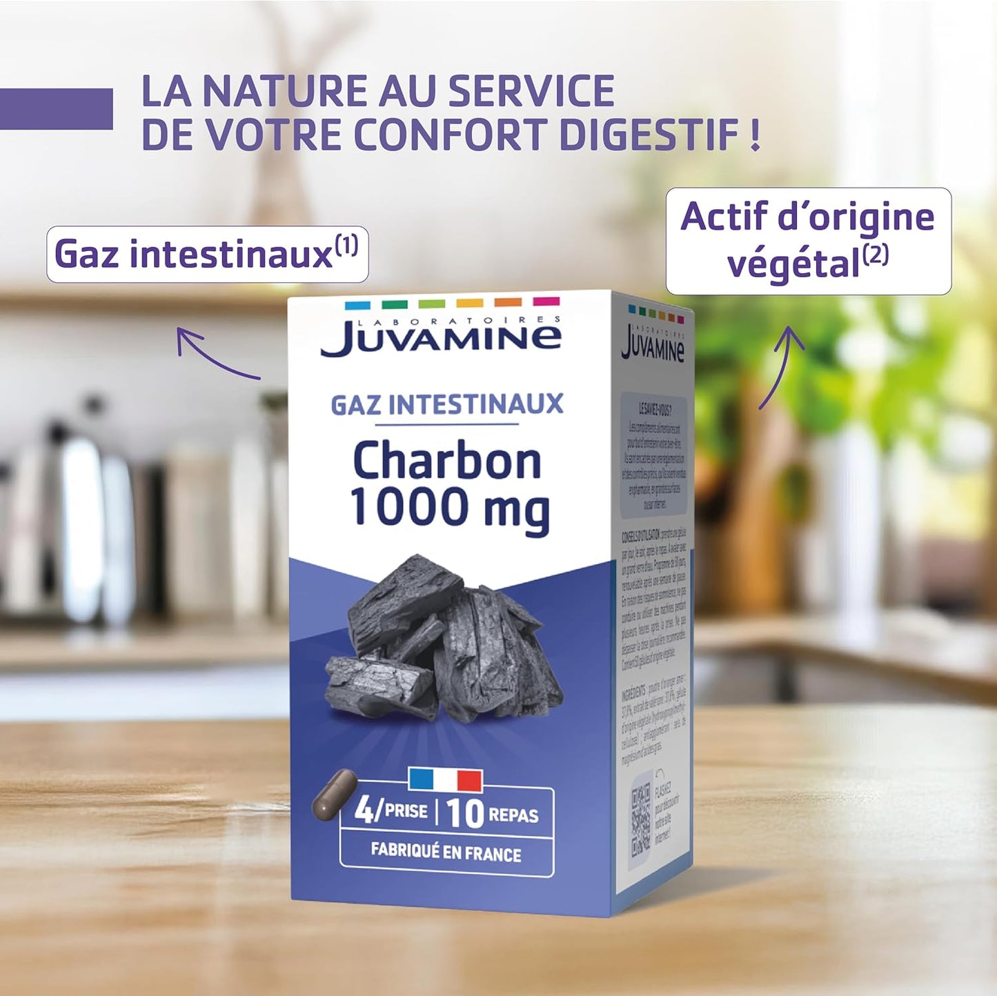JUVAMINE Charbon Végétal 1000 Mg