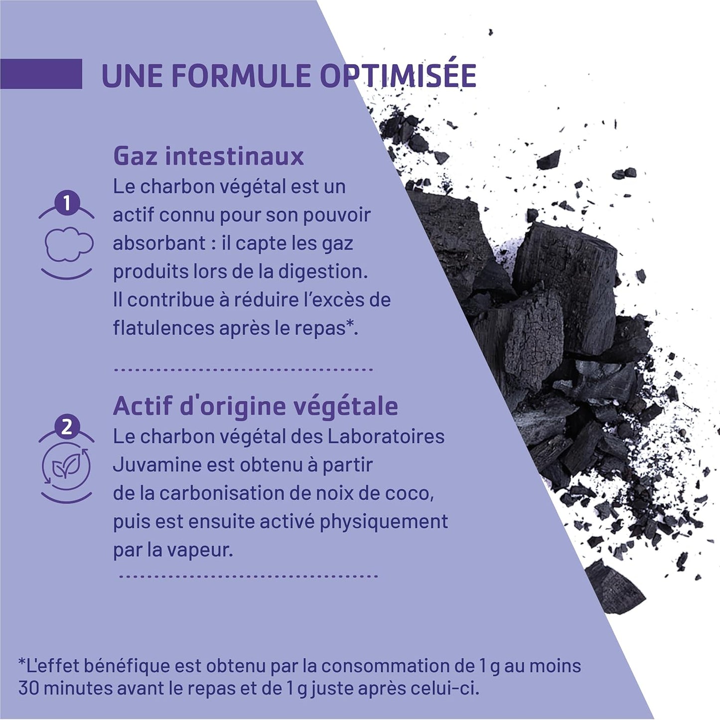 JUVAMINE Charbon Végétal 1000 Mg