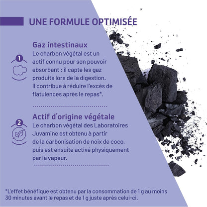 JUVAMINE Charbon Végétal 1000 Mg