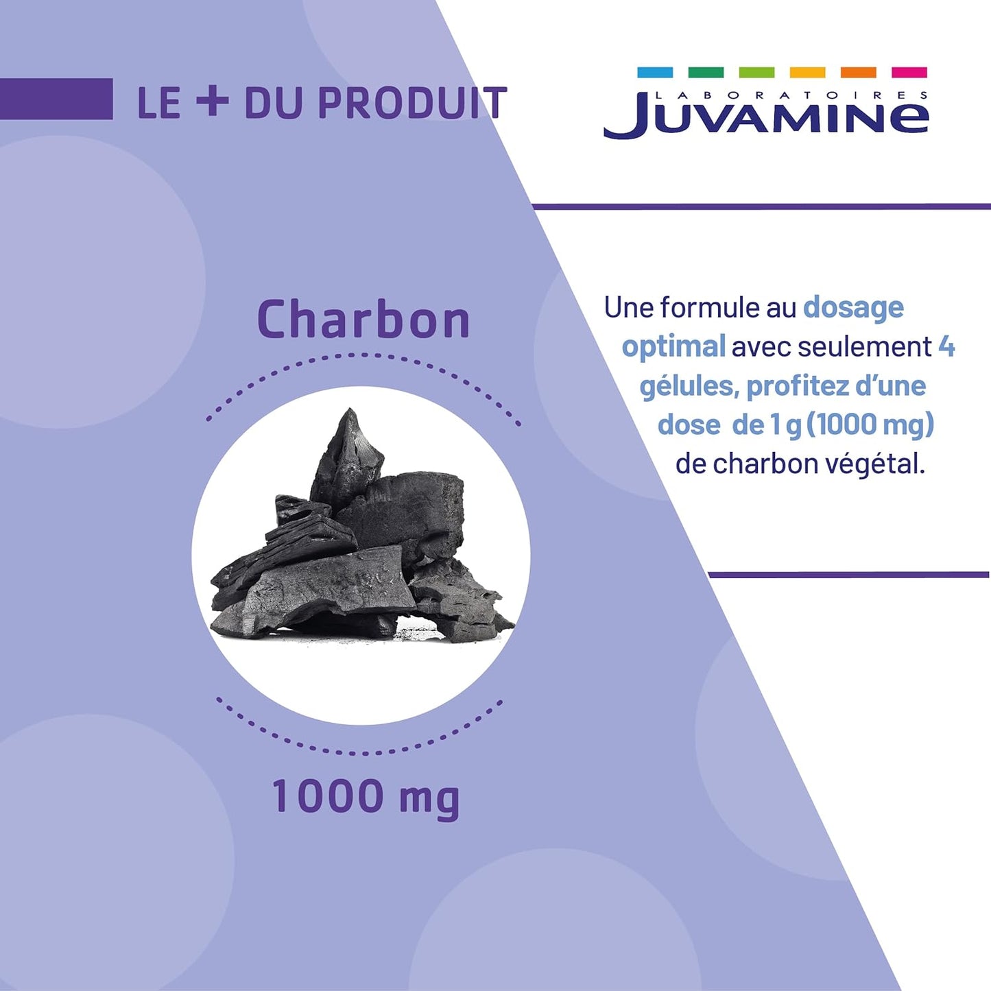 JUVAMINE Charbon Végétal 1000 Mg
