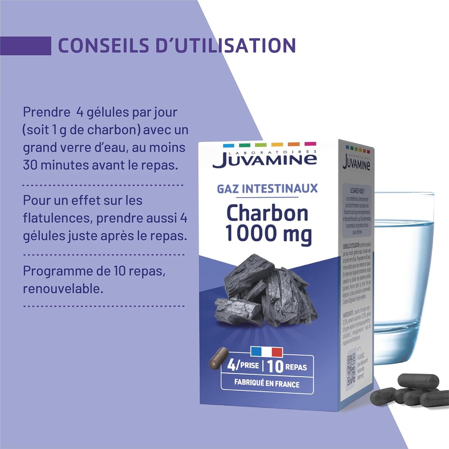 JUVAMINE Charbon Végétal 1000 Mg