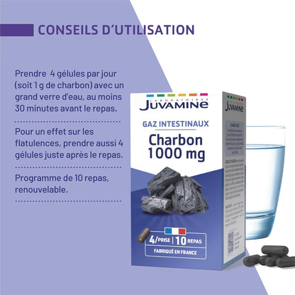 JUVAMINE Charbon Végétal 1000 Mg