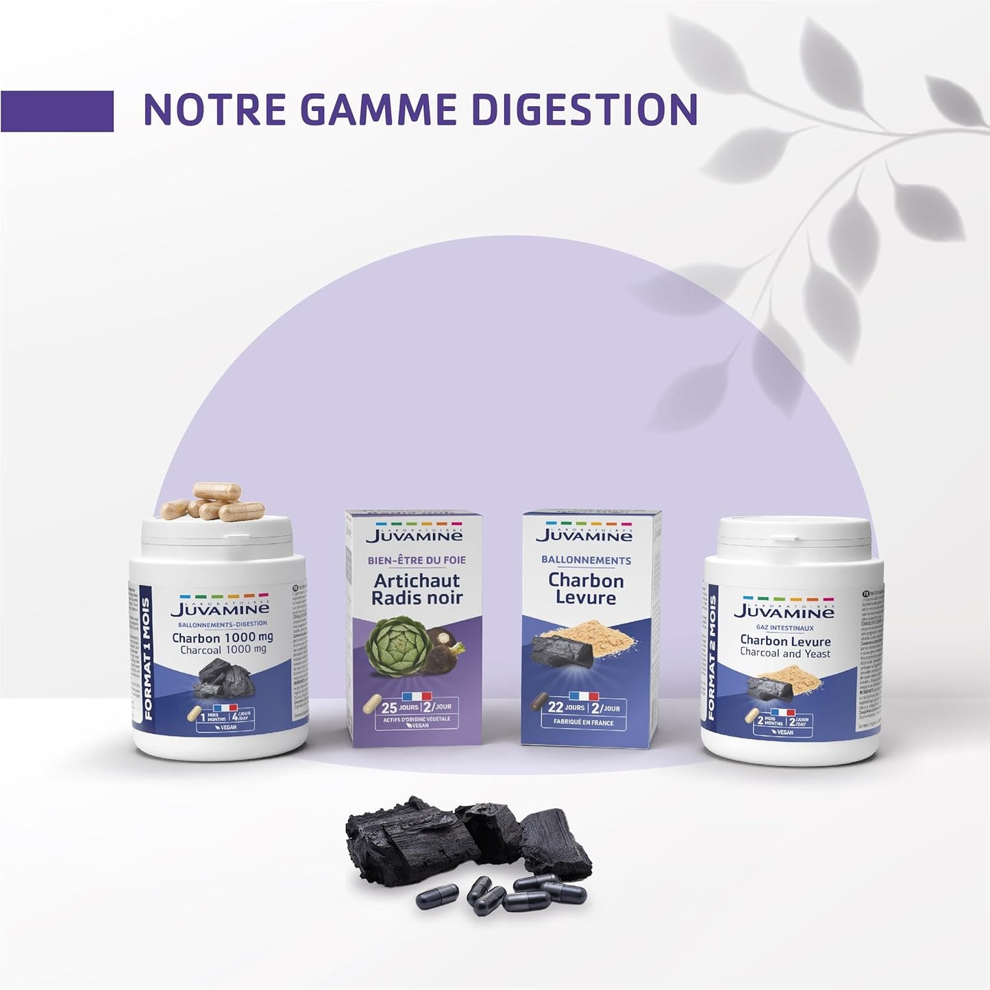 JUVAMINE Charbon Végétal 1000 Mg