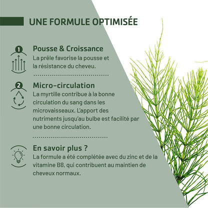 JUVAMINE - Chute de Cheveux